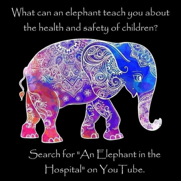 Meet your Posher, Aurora - Picture 15 of 15